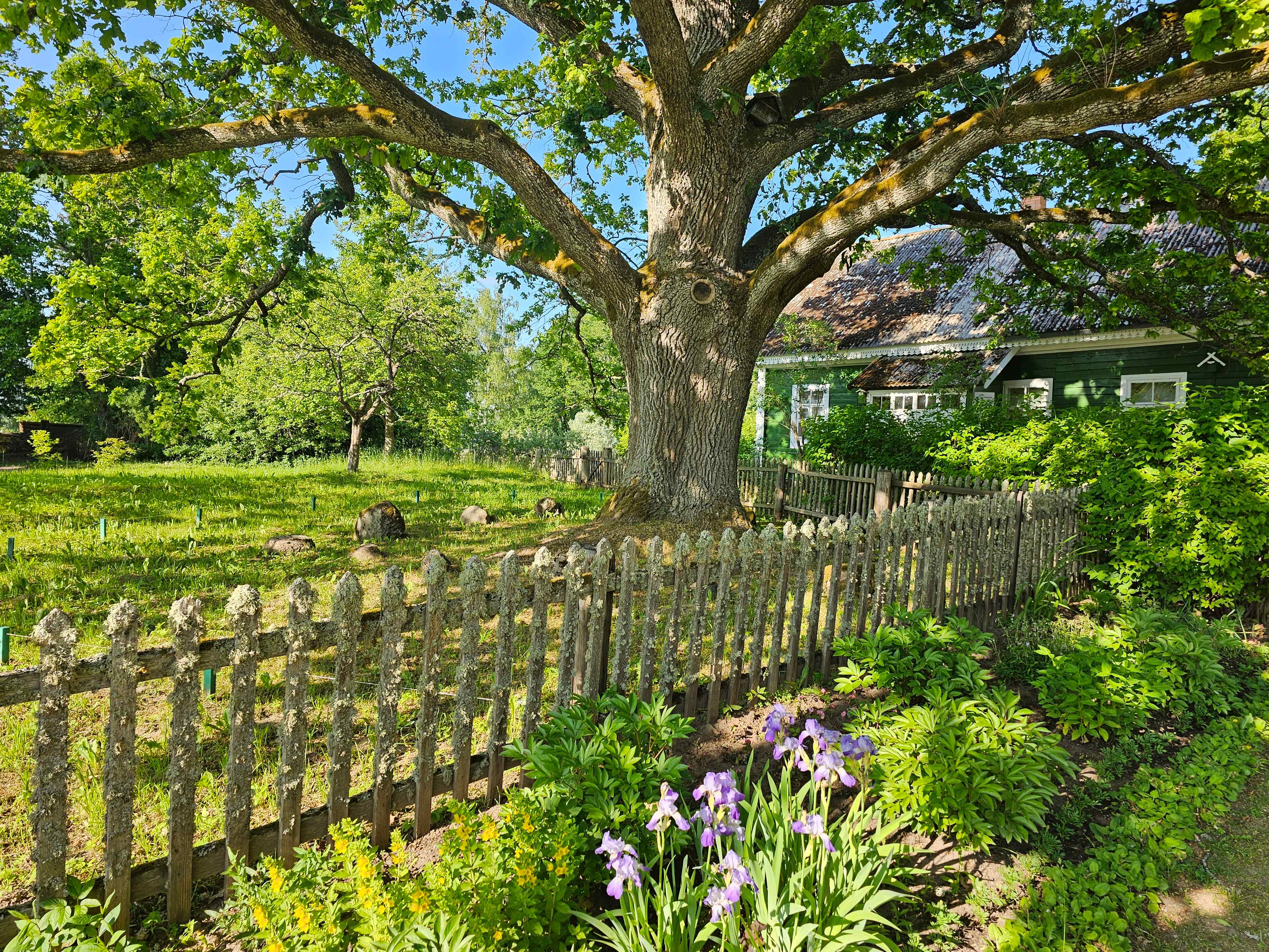 Михайловское